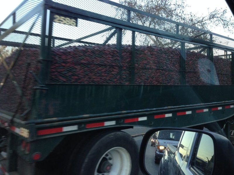 That's a shit load of peppers